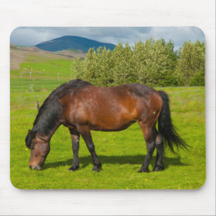 Mossfellsbaer Icelandic Horse Mouse Mat