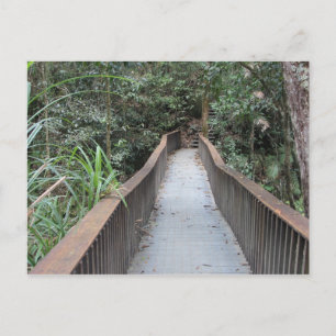 Mossman Gorge - Queensland Australia Postcard