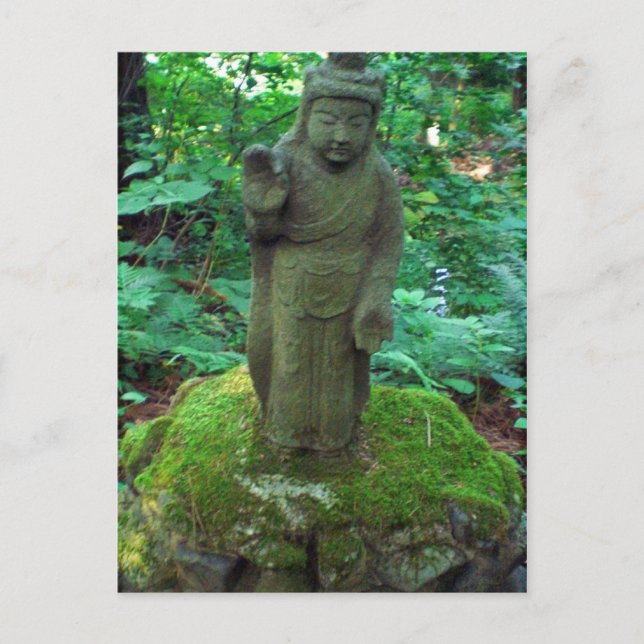 Mossy Buddha Postcard (Front)