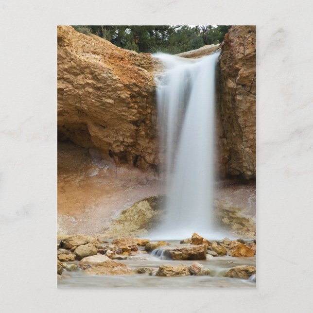 Mossy Cave Waterfall Postcard (Front)