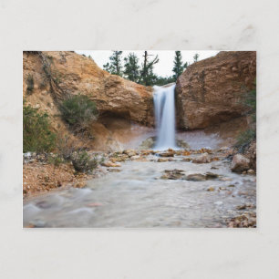 Mossy Cave Waterfall Postcard