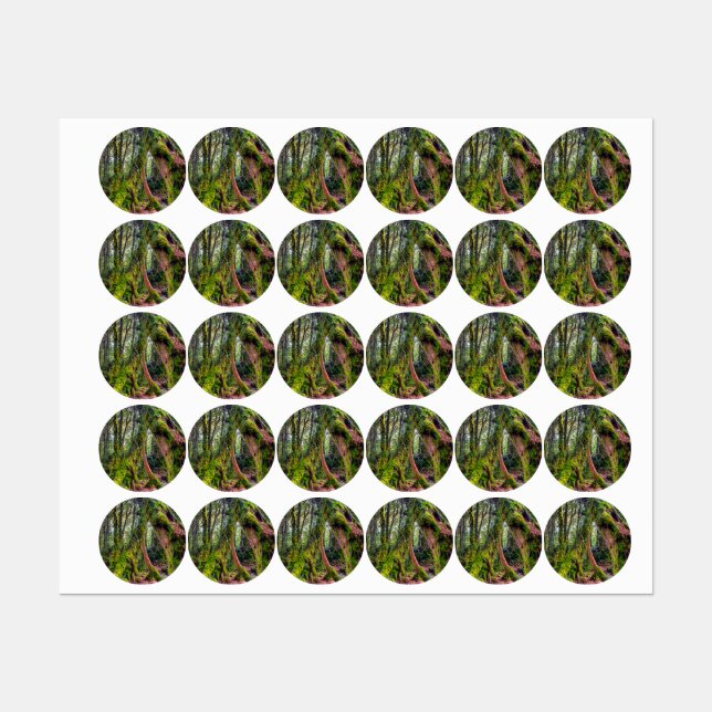 Mossy Forest (Sheet)