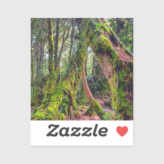 Mossy Forest (Sheet)