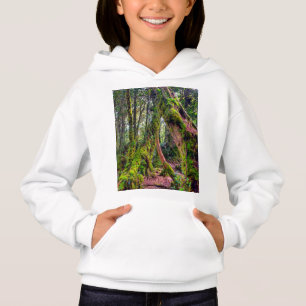 Mossy Forest