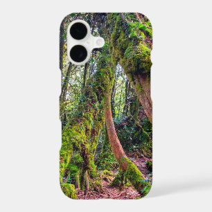 Mossy Forest