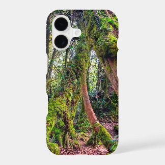 Mossy Forest