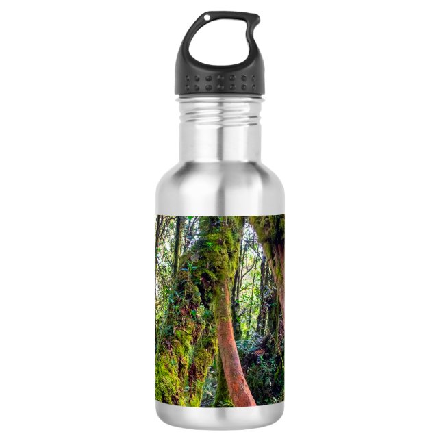 Mossy Forest 532 Ml Water Bottle (Front)