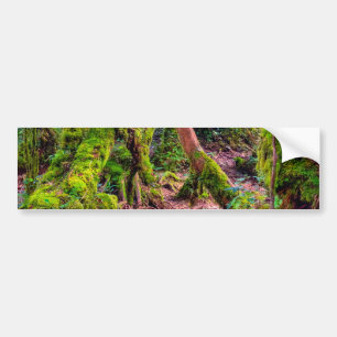 Mossy Forest Bumper Sticker