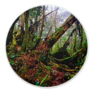 Mossy Forest Ceramic Knob