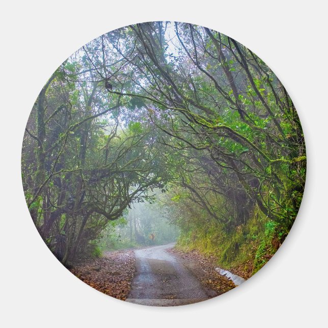 Mossy Forest Magnet (Front)
