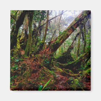 Mossy Forest Magnet