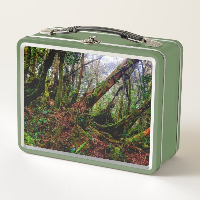 Mossy Forest Metal Lunch Box (Front)