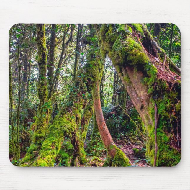 Mossy Forest Mouse Mat (Front)