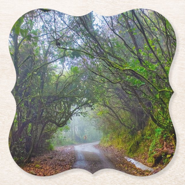 Mossy Forest Paper Coaster (Front)