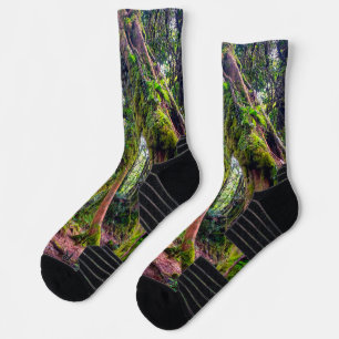 Mossy Forest Socks