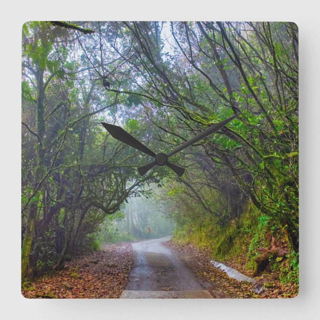 Mossy Forest Square Wall Clock (Front)