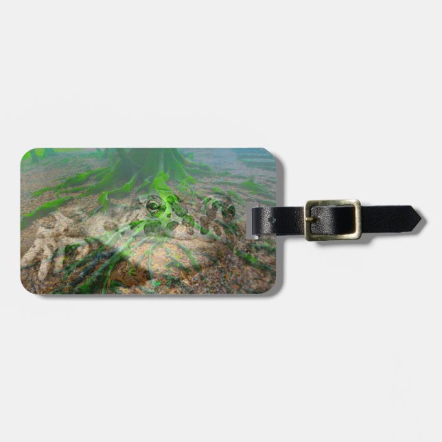 Mossy Frog Luggage Tag (Front Horizontal)