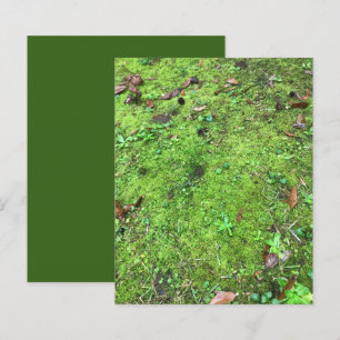 Mossy Green Woodlands Scrapbook Paper