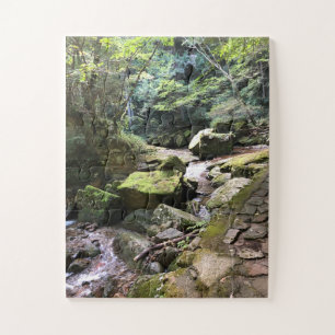Mossy Mountain Stream in a Japanese Forest Jigsaw Puzzle