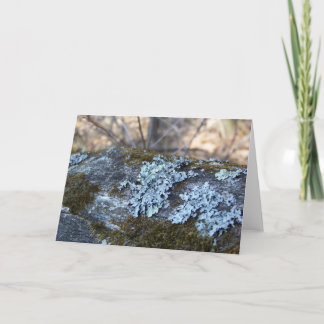 Mossy Oak Log Greeting Card