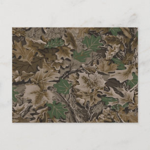 Mossy Oak Postcard