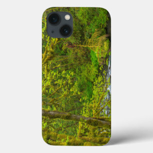 Mossy Rocks And Trees Line Eagle Creek iPhone 13 Case