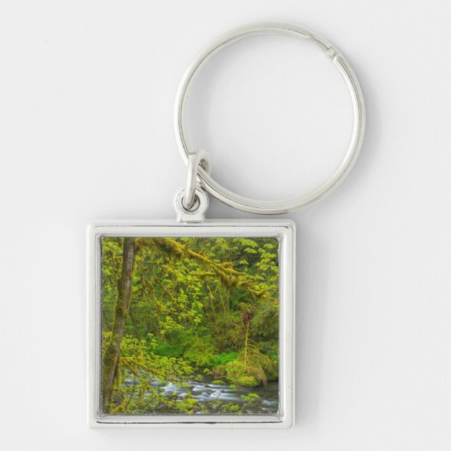 Mossy Rocks And Trees Line Eagle Creek Key Ring (Front)