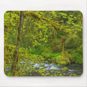 Mossy Rocks And Trees Line Eagle Creek Mouse Mat