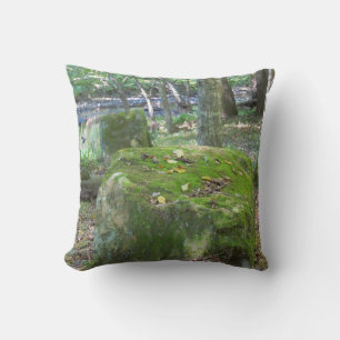 Mossy Rocks Cushion