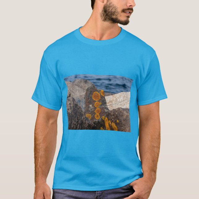 Mossy Sea Stones Beach Tee (Front)