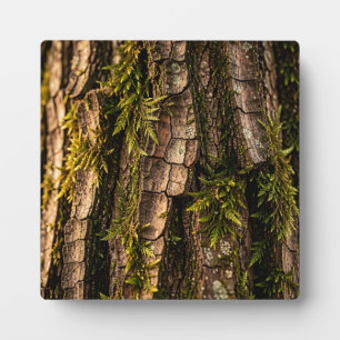 Mossy Tree Bark Forest Texture Plaque