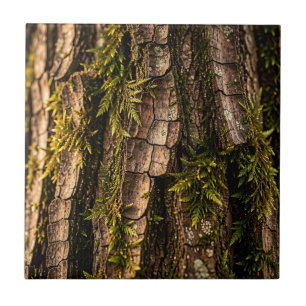 Mossy Tree Bark Forest Texture Tile