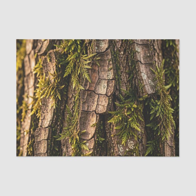  Mossy Tree Bark Forest Texture  Tissue Paper (Front)