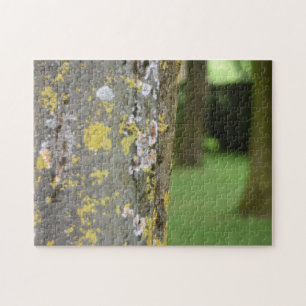 Mossy Tree Woods Nature Photography Garden Jigsaw Puzzle
