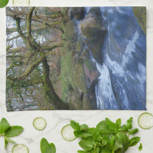 Mossy Trees and River Dart Flowing at Dartmeet Tea Towel