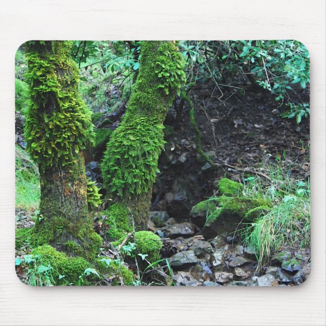 Mossy Trees Mouse Mat (Front)