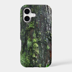 Mossy Trunk