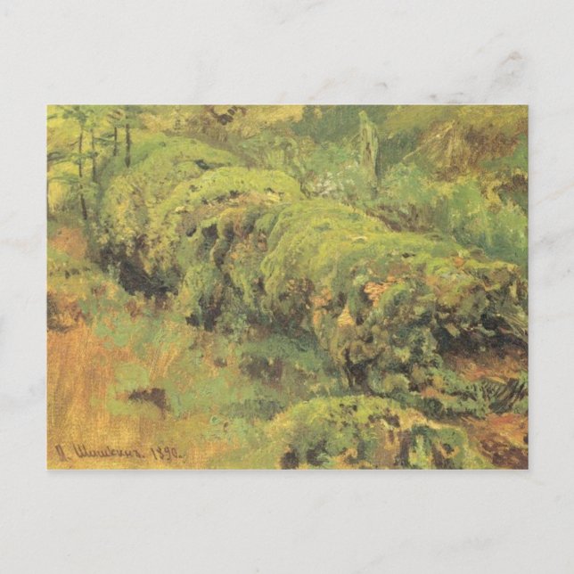 Mossy Wood by Ivan Shishkin Postcard (Front)