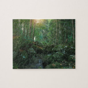 Mossy Woodland Stream Jigsaw Puzzle