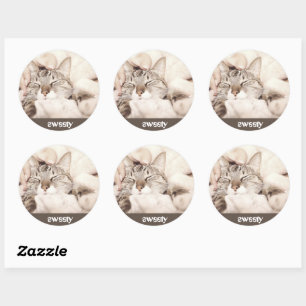 most adorable little cat classic round sticker