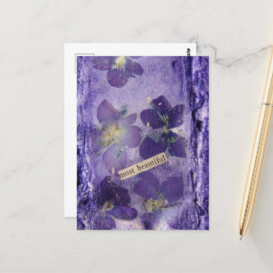 Most Beautiful Purple Violets Collage Postcard