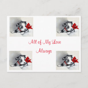 Most Beautiful Vintage Boston Terrier Puppy Postcard