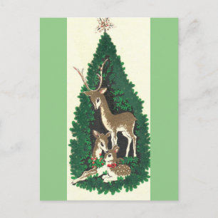 Most Beautiful Vintage Christmas Reindeer Family Holiday Postcard