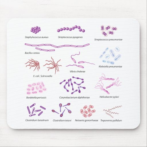 Image of Most common bacteria infecting human Mousepad