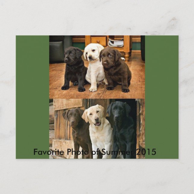 Most Favourite Photo of 2015: Postcard (Front)