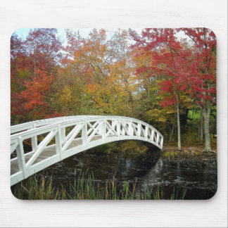 Most Photographed Spot Mouse Mat