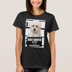 Most Wanted Maltese T-Shirt