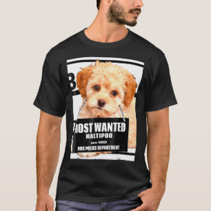 Most Wanted Maltipoo Maltese Miniature Poodle Dog T-Shirt