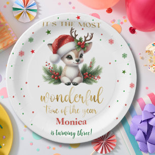 Most wonderful time christmas birthday paper plate
