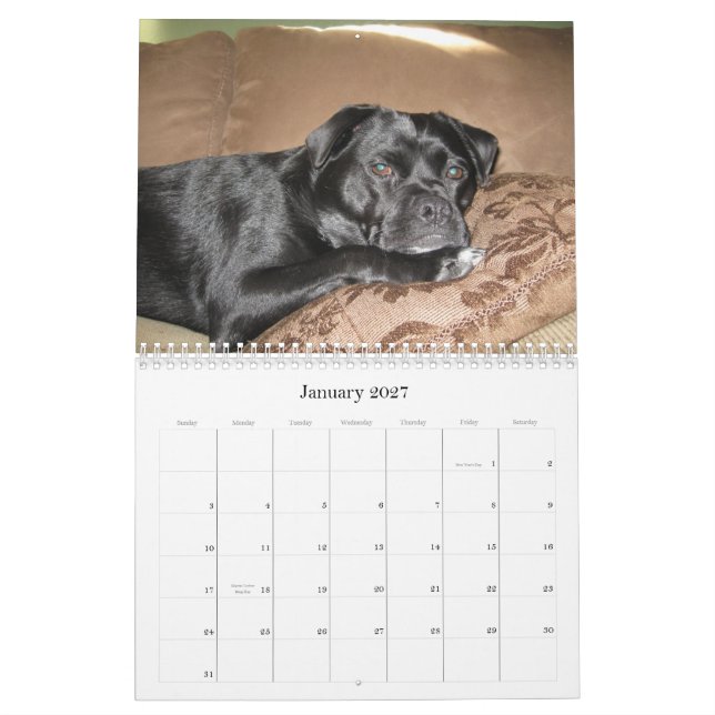 Mostly Bo Calendar (Jan 2027)